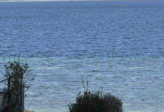 Blick vom Objekt auf den See