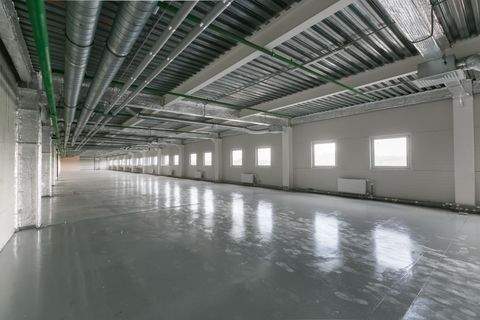 Dachau Halle, Dachau Hallenfläche