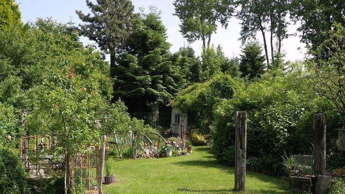 Blick in den Garten