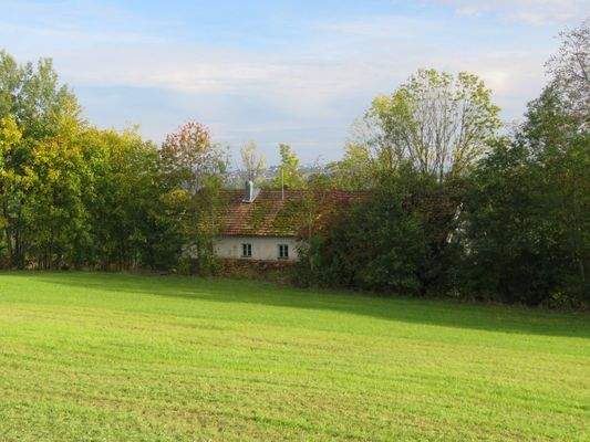 Ansicht von der Wiese 