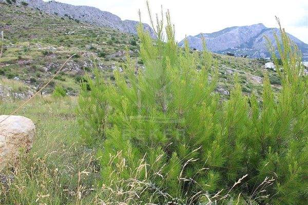 Hier öffnen sich Ihnen viele Möglichkeiten
