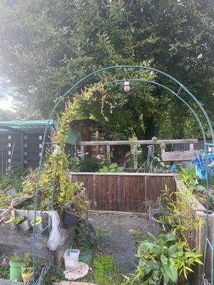 Viele Hochbeete. .jpeg