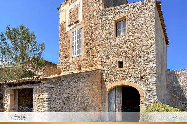 ...mit viel Potenzial