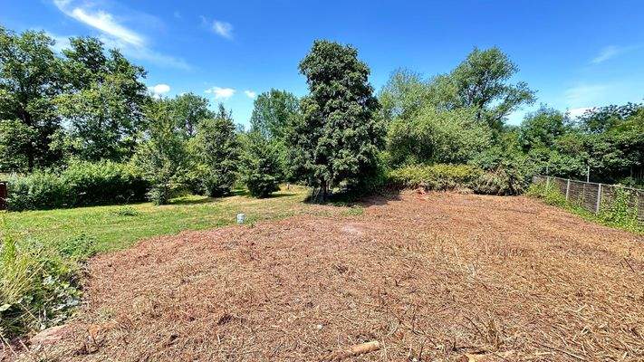 1FDFEDCA-C4D5-4D09-96D4-2133BABA7111_1_102_a