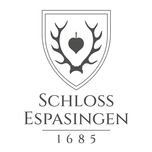 Logo_Espasingen.jpg