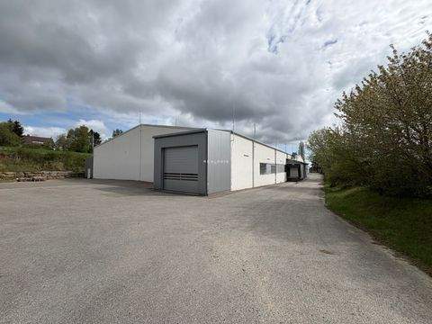 Horb am Neckar Halle, Horb am Neckar Hallenfläche