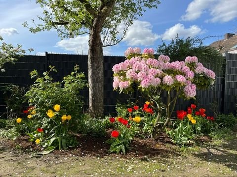 Bielefeld Wohnungen, Bielefeld Wohnung mieten