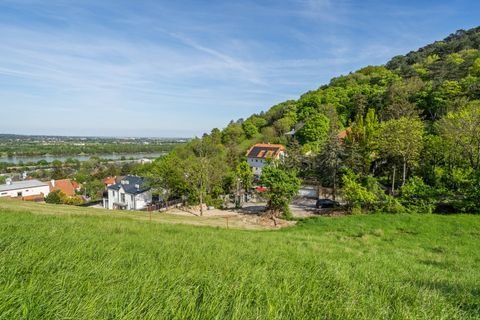 Klosterneuburg Bauernhöfe, Landwirtschaft, Klosterneuburg Forstwirtschaft