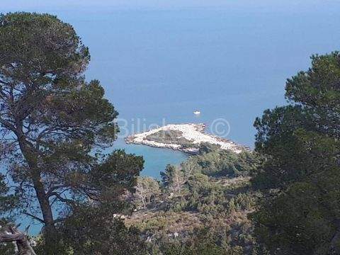 Jelsa Bauernhöfe, Landwirtschaft, Jelsa Forstwirtschaft