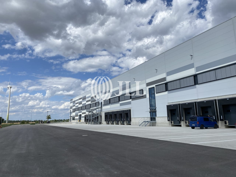 Bitterfeld-Wolfen Halle, Bitterfeld-Wolfen Hallenfläche