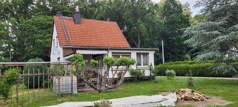 Bad Lausick Häuser, Bad Lausick Haus kaufen