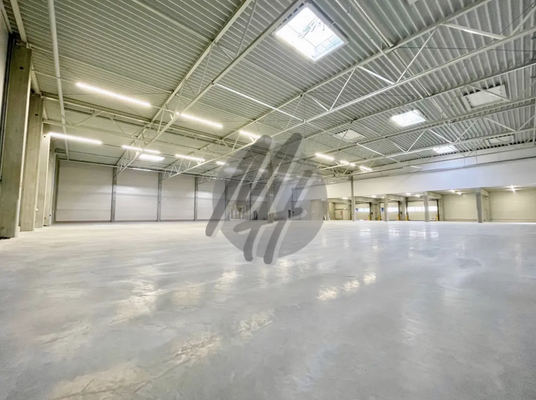 INFOS UNTER: 06171-586000