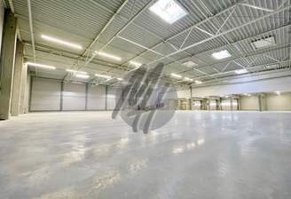 INFOS UNTER: 06171-586000