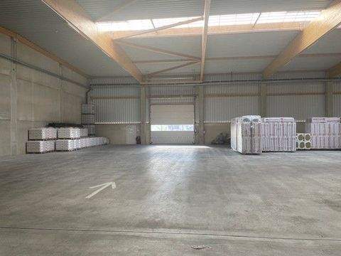 Frohburg Halle, Frohburg Hallenfläche