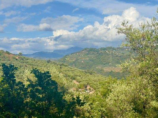 DA1046_03 TERRA ITALIA IMMOBILIEN_REAL ESTATE_FOR 