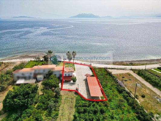 img_7defc47f-e178-47e7-826f-e3e7b58d15e2