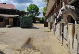 Außenansicht Pferdeboxen