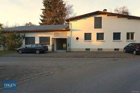 Wolfurt Halle, Wolfurt Hallenfläche