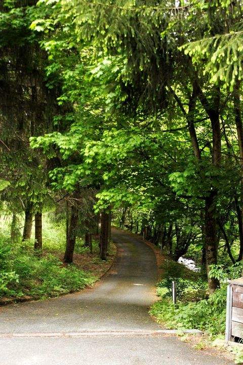 Altenau Wohnen auf Zeit, möbliertes Wohnen