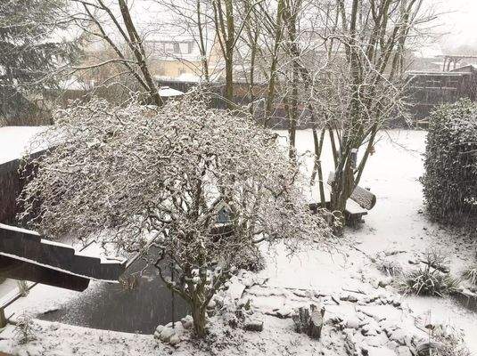 Blick aus OG in den Garten