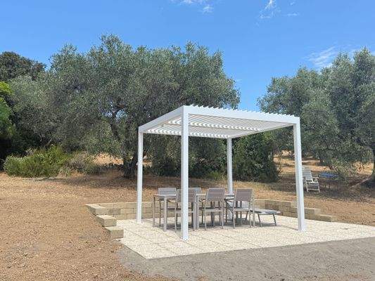 Terrasse im Olivenhain