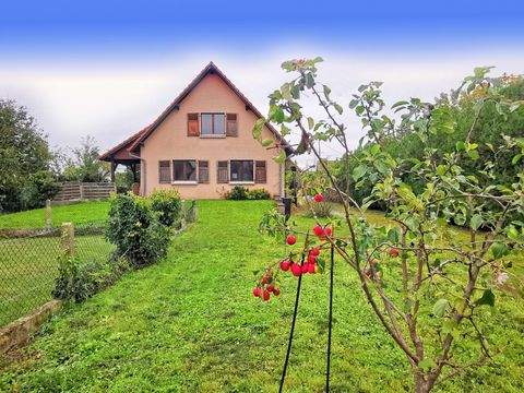 Blodelsheim Häuser, Blodelsheim Haus kaufen