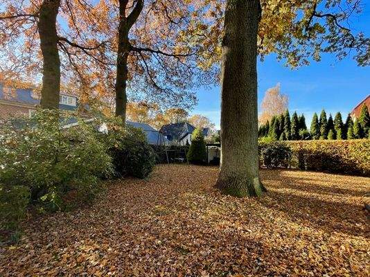 Garten im Herbst