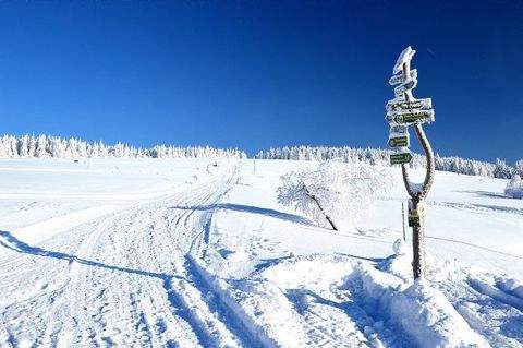 Oberwiesenthal Wohnungen, Oberwiesenthal Wohnung mieten