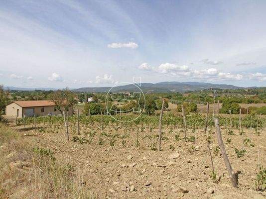 Traumhaften Anwesen | Arezzo