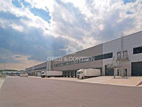 Neuss Halle, Neuss Hallenfläche