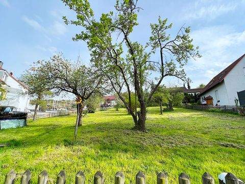Ostelsheim Häuser, Ostelsheim Haus kaufen