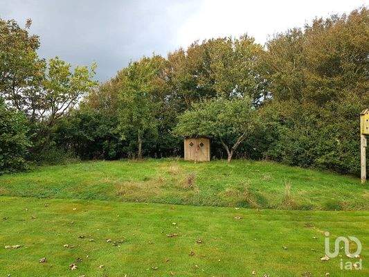 Blick in  den Garten