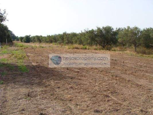 Lage des Gesamtgrundstücks