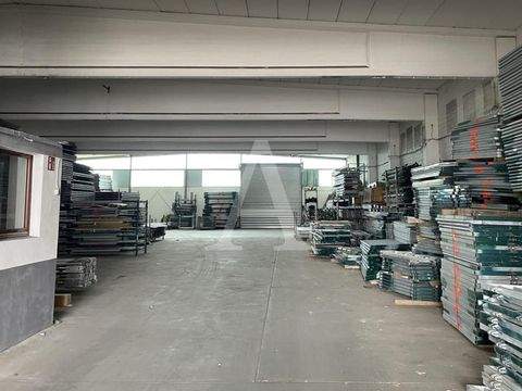 Köln Halle, Köln Hallenfläche