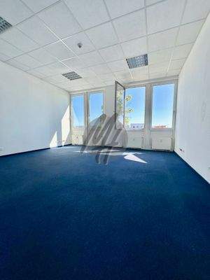 INFOS UNTER: 06171-586000