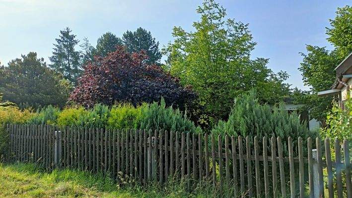 AlteZschopauer (2).jpg