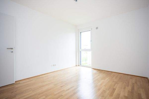 Zimmer_2