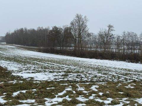 Wörth an der Isar Bauernhöfe, Landwirtschaft, Wörth an der Isar Forstwirtschaft