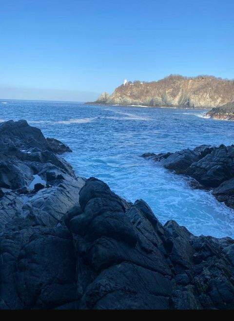 Zihuatanejo de Azueta Bauernhöfe, Landwirtschaft, Zihuatanejo de Azueta Forstwirtschaft