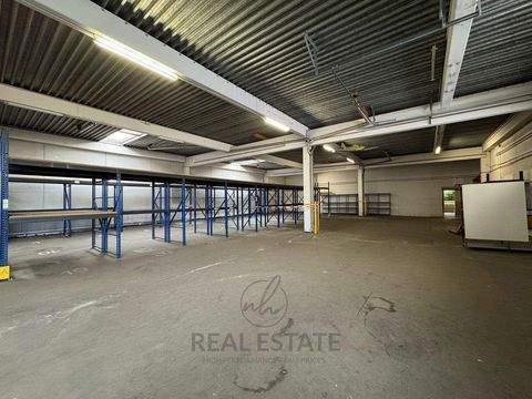 Barsbüttel Halle, Barsbüttel Hallenfläche