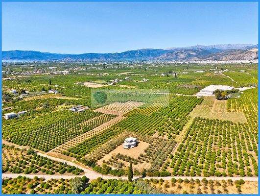 b6afd2f45bb24a328f1d6ab28f094d12-original