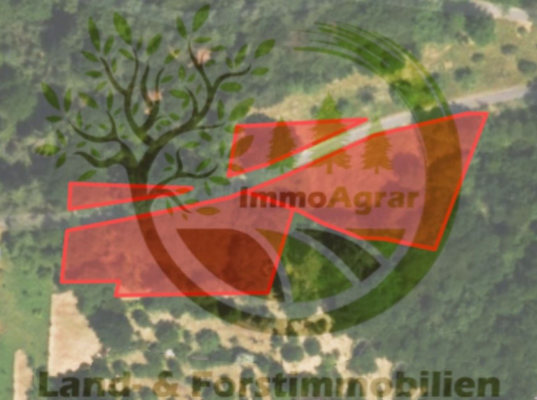 ImmoAgrar_Soden_Wald.png