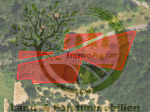 Sulzbach am Main Bauernhöfe, Landwirtschaft, Sulzbach am Main Forstwirtschaft