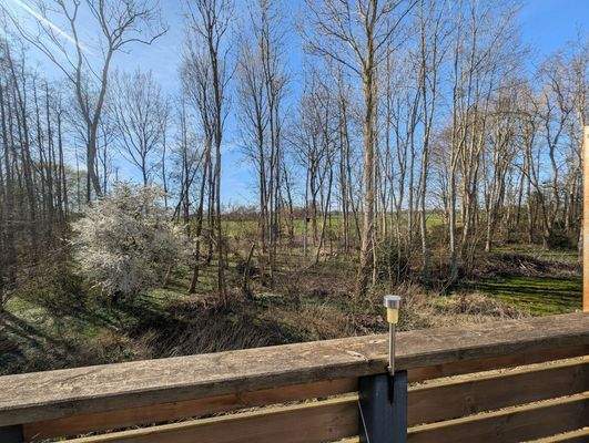 Haus B: Blick von der Dachterrasse