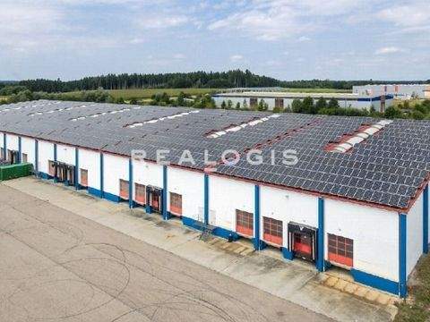 Darmstadt Halle, Darmstadt Hallenfläche