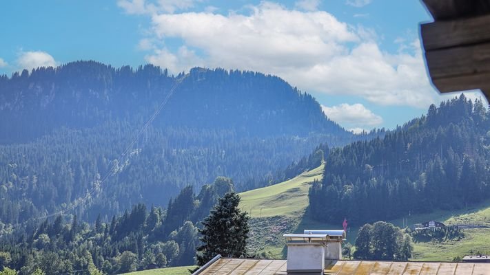 KITZIMMO-Luxuswohnung mit Pool in zentraler Toplage - Immobilien Kitzbühel.