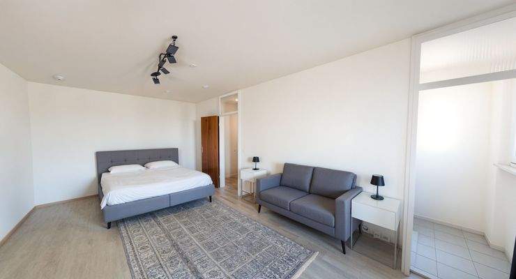 Visualisierung Wohn- Schlafbereich - Schlafzimmer, Modern 