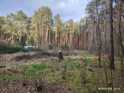 Borkheide Grundstücke, Borkheide Grundstück kaufen