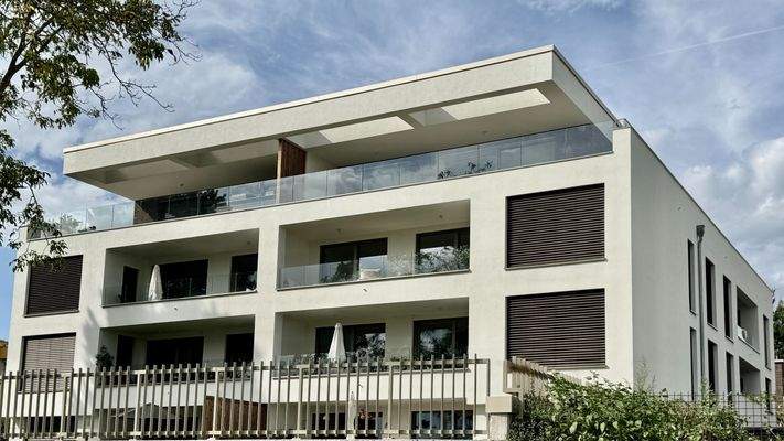 Ansicht von den Mainwiesen