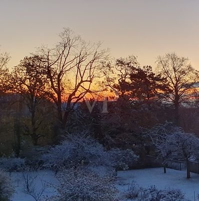 Winterimpression